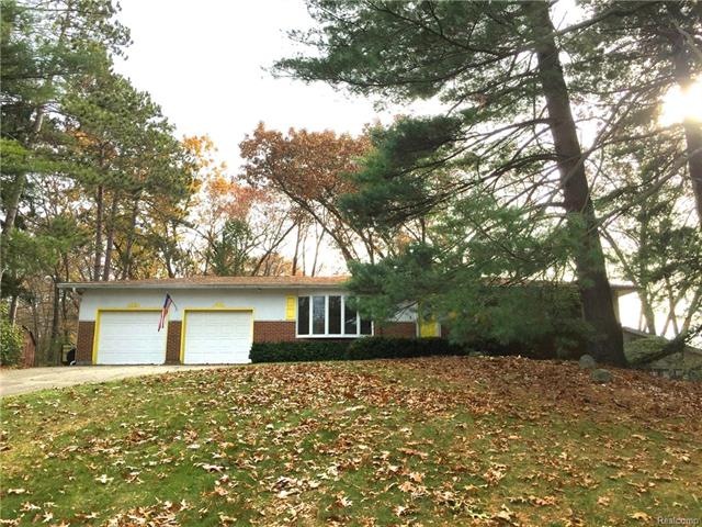 FRONT VIEW IN THE WOODS