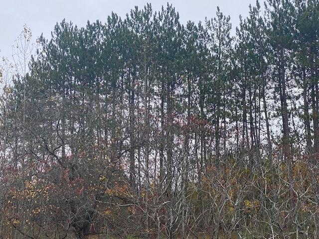 000 Clarks Bridge Rd, Waterboro, ME 04061 - photo 1