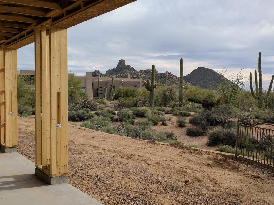 View from Patio of #1032