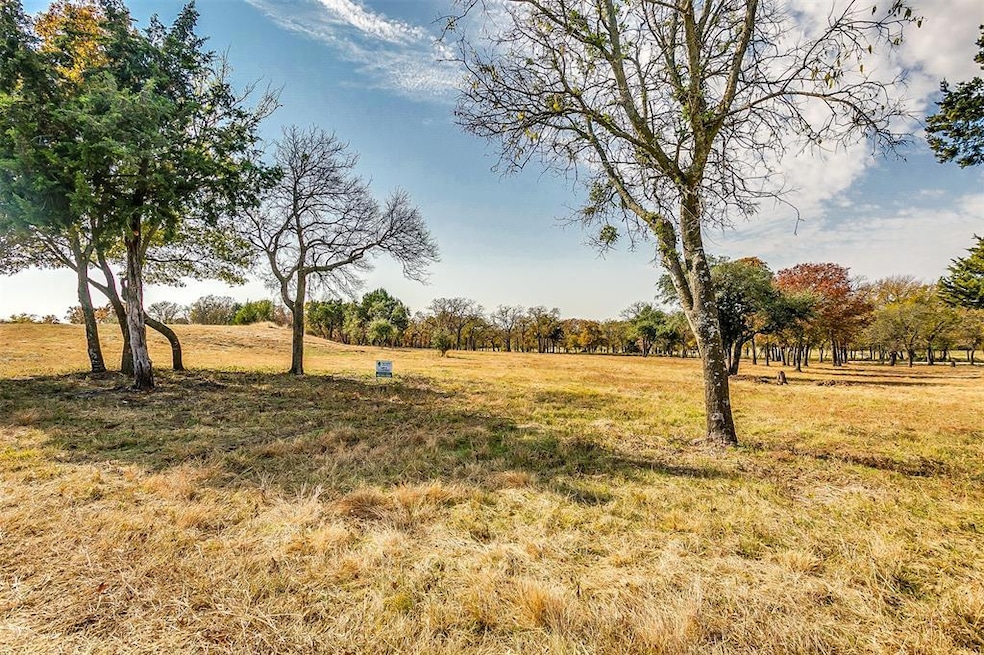 1008 N Oak Trail, Weatherford, TX 76085 - photo 1