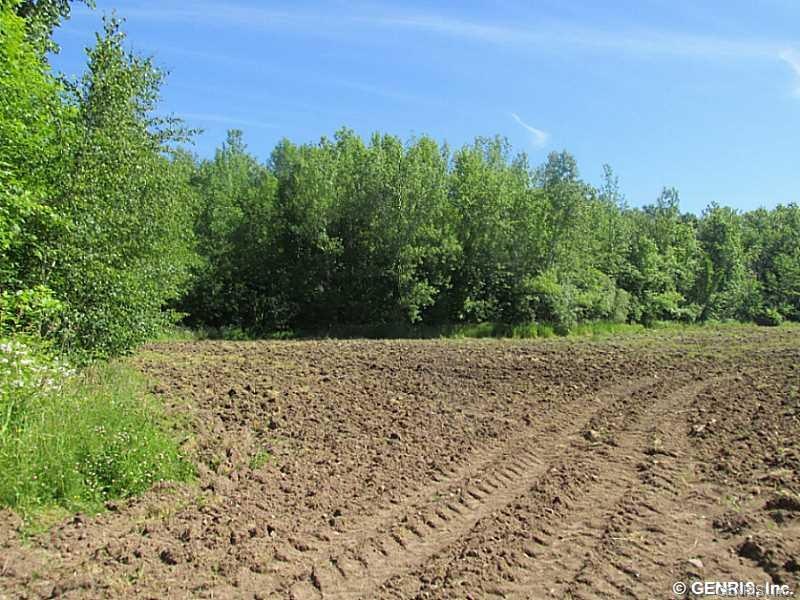Land/Lot.