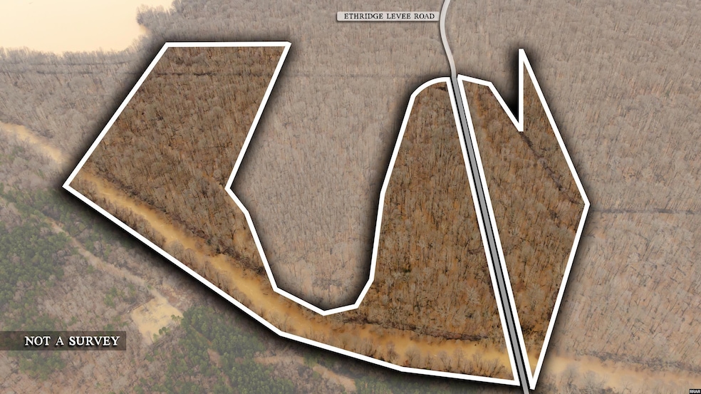 0 Etheridge Levee Rd, Greenfield, TN 38230 - photo 1