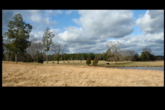 Main View