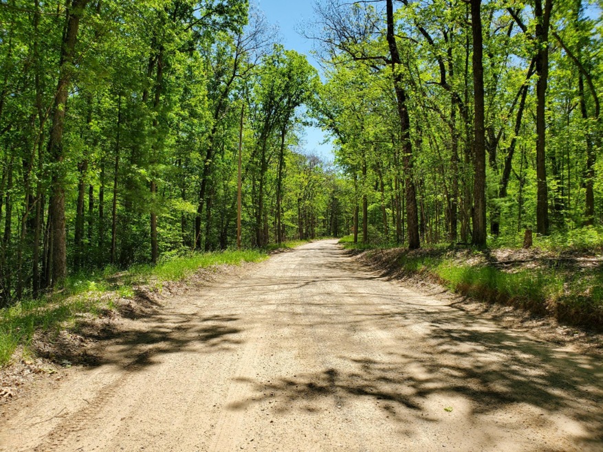 PAR 1 Grant, Bitely, MI 49309 - photo 1