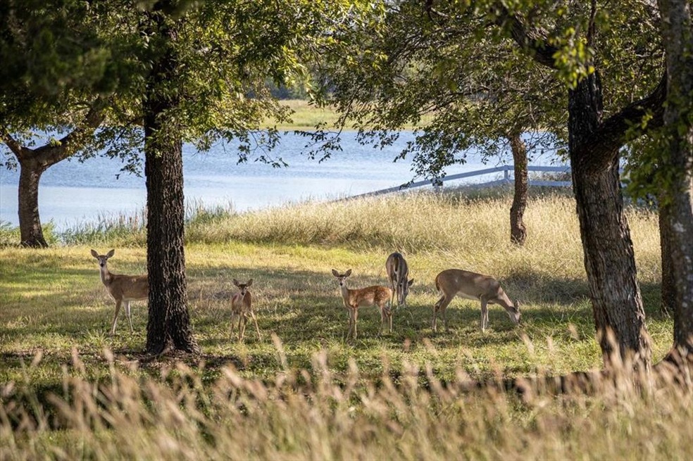 33040 Woodcrest Dr, Whitney, TX 76692 - photo 1
