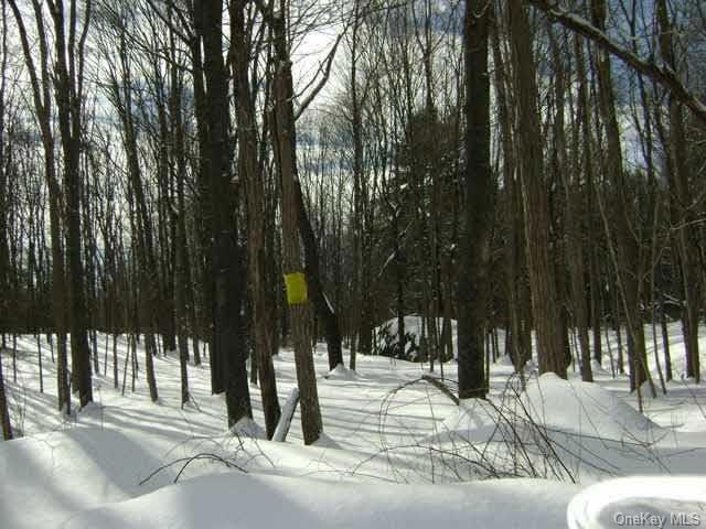 829 S Anson Rd, Stanfordville, NY 12581 - photo 1