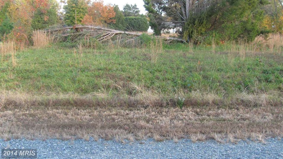 0 Randall Rd unit 1003755818, Colonial Beach, VA 22443 - photo 1