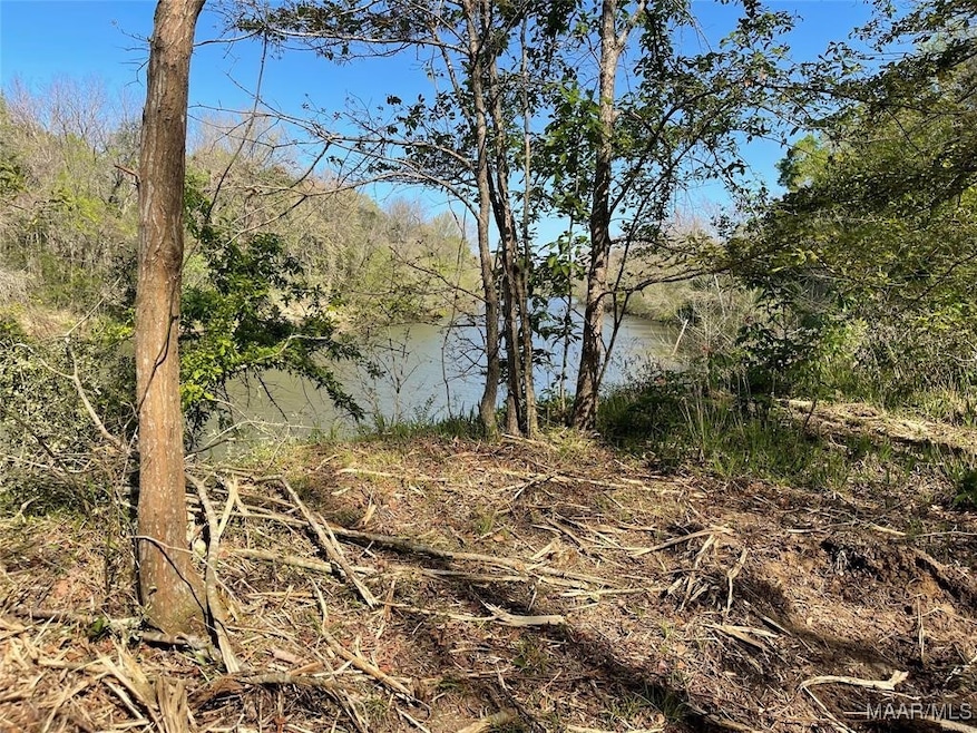 115 Cahaba View Dr, Selma, AL 36702 - photo 1