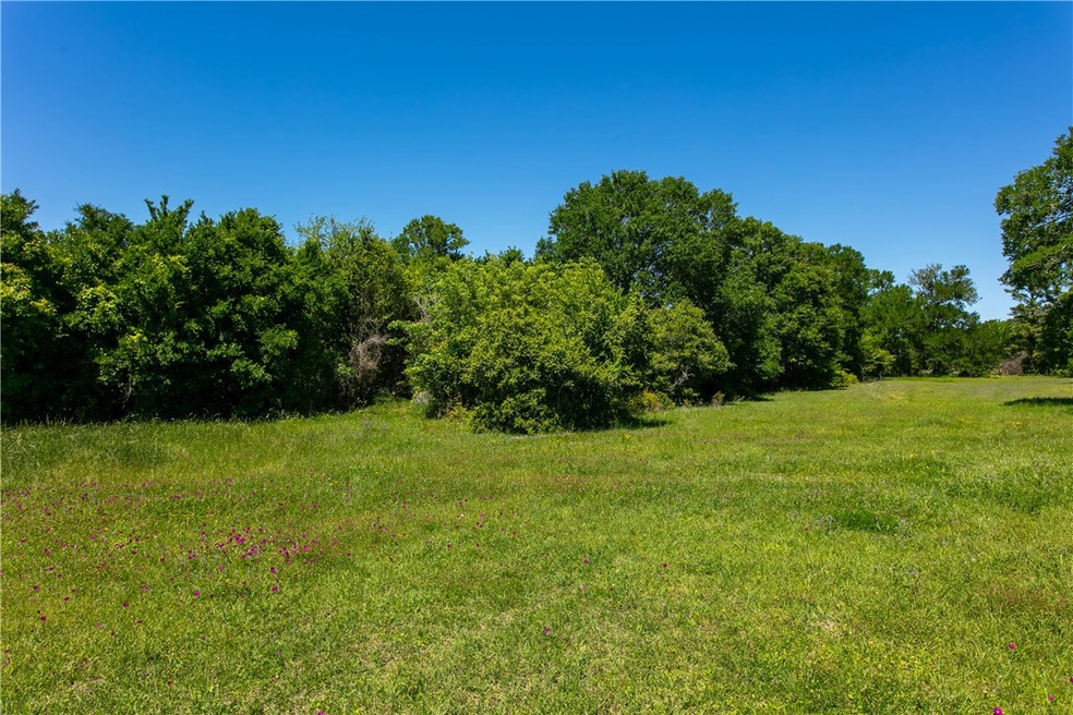 View of local wilderness