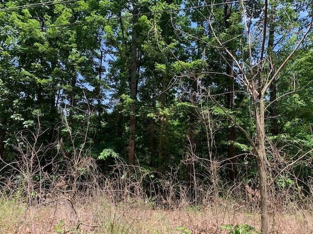 TBD Old Hermitage Rd, Wayne, VA 22980 - photo 1