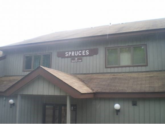 14 Snow Tree Ln unit 14j, West Dover, VT 05356 - photo 1