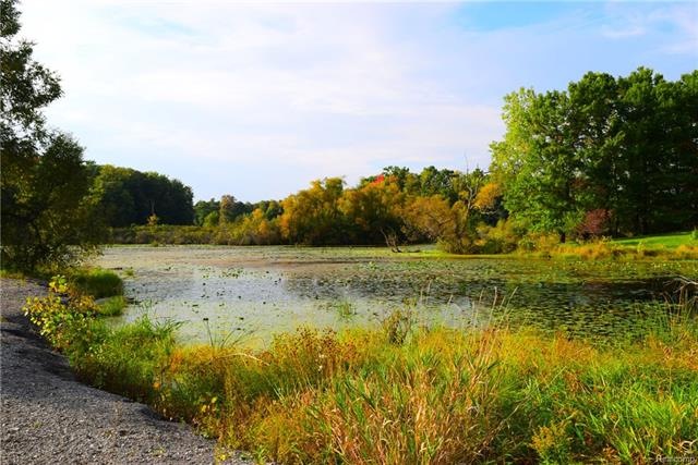 Part of your 3 gorgeous acres.