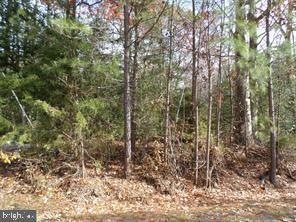 0 Monroe Blvd unit VAWE2002962, Colonial Beach, VA 22443 - photo 1