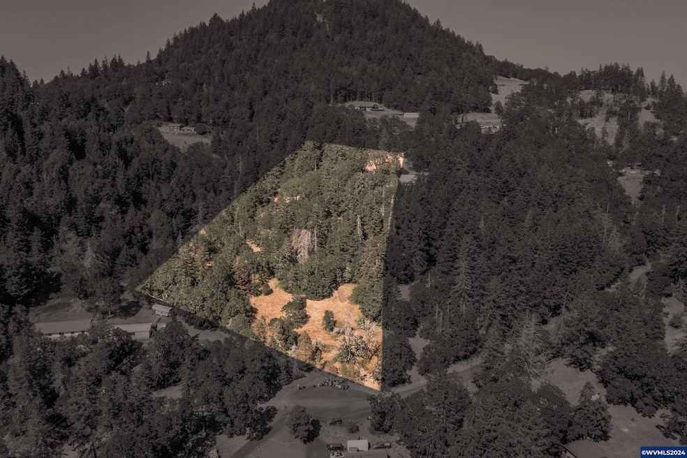 28920 Sheep Head (Next To) Rd, Brownsville, OR 97327 - photo 1