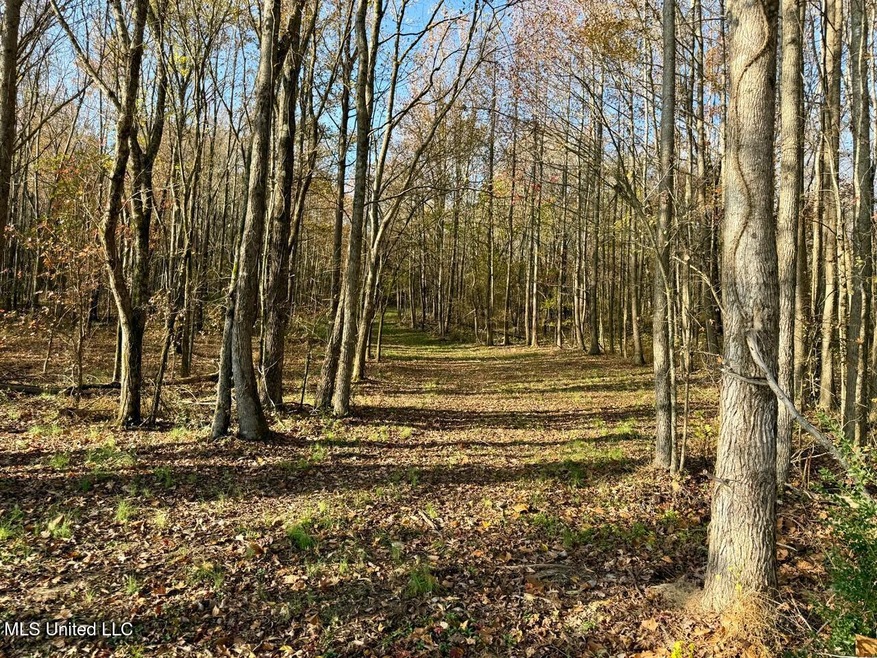 land