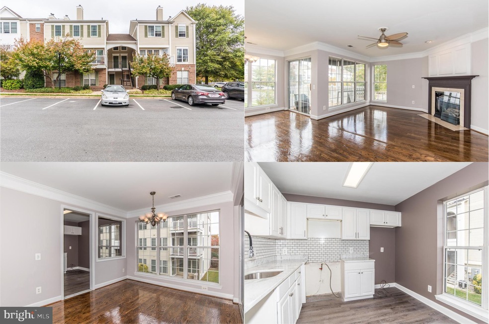 46880 Clarion Terrace unit 203, Sterling, VA 20164 - photo 1