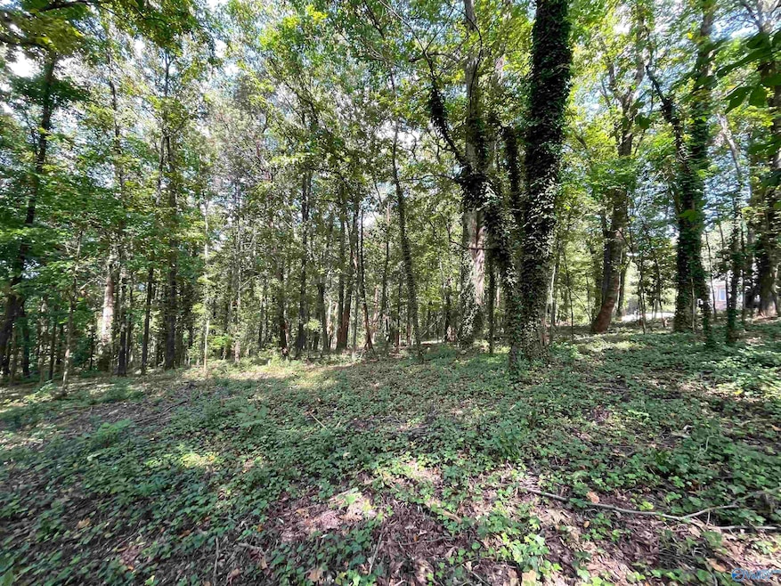 11 Camille Cir, Gadsden, AL 35901 - photo 1