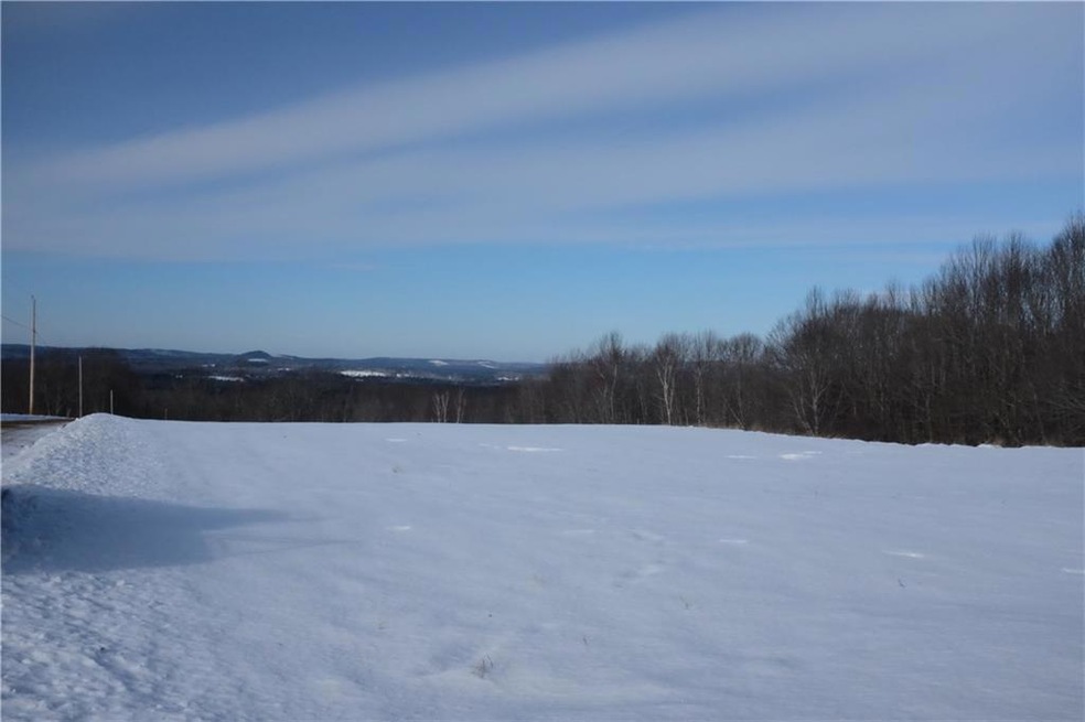 Wide open field. Whitney Rd. to the...