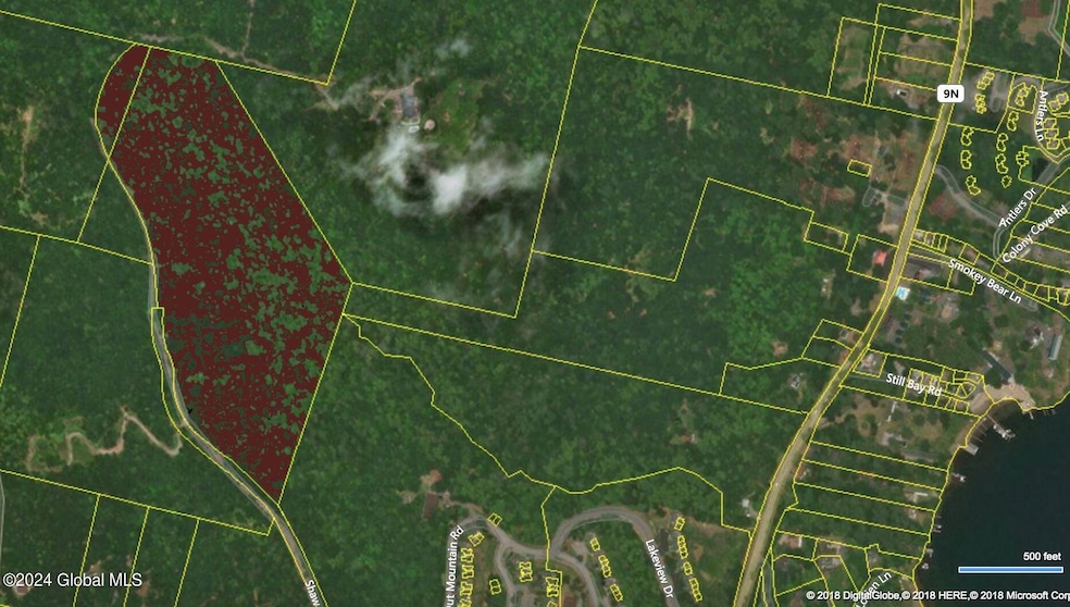 L63.011 Shaw Rd unit A2, Lake George, NY 12845 - photo 1