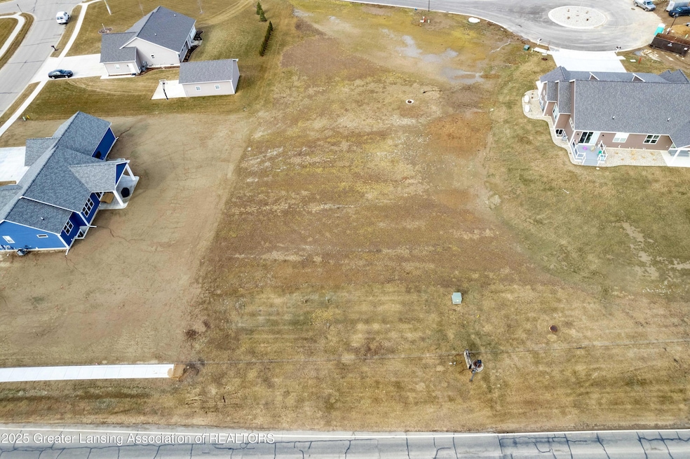 Lot 8 N Wright Rd, Fowler, MI 48835 - photo 1