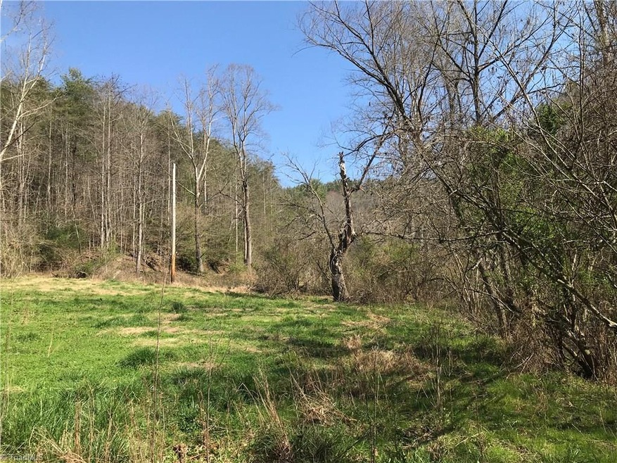 1455 Caseys Branch Rd, Purlear, NC 28665 - photo 1