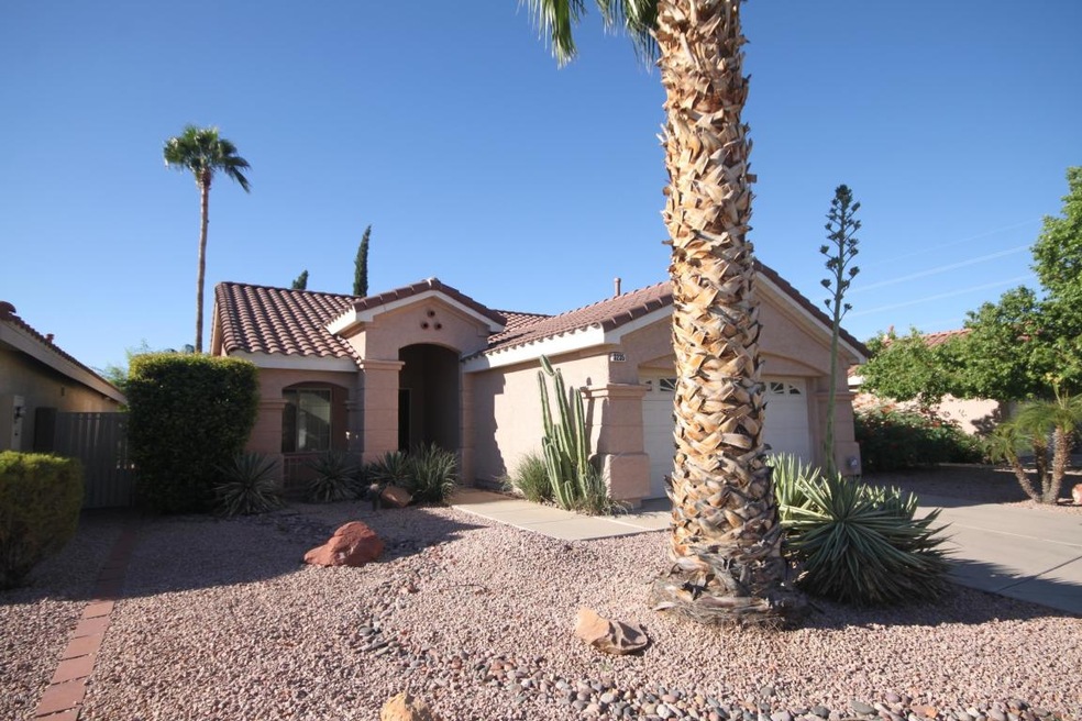 Low maintenance front yard