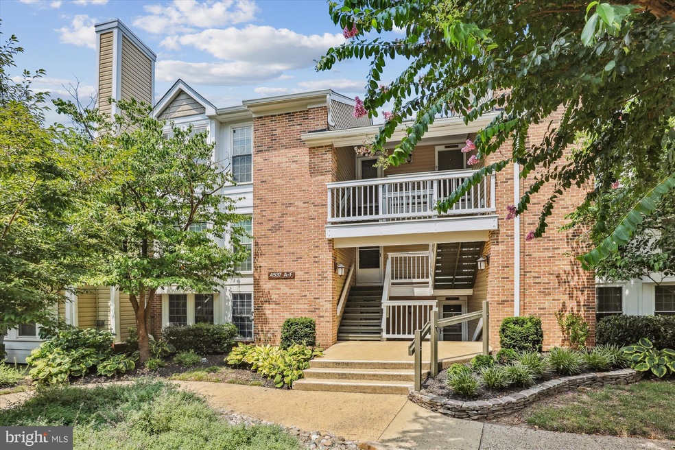 4537 28th Rd S unit A, Arlington, VA 22206 - photo 1