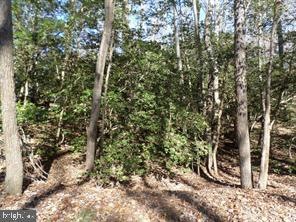 0 Hook Dr, Montross, VA 22520 - photo 1