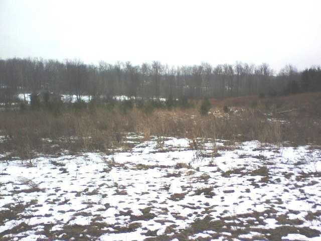 Land/Lot