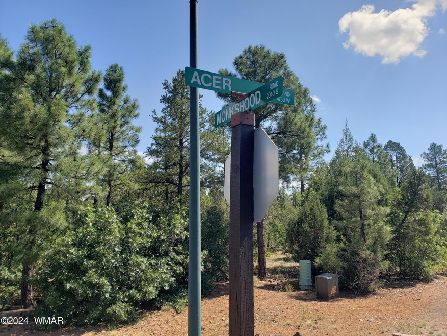 4750 W Acer Ln, Show Low, AZ 85901 - photo 1