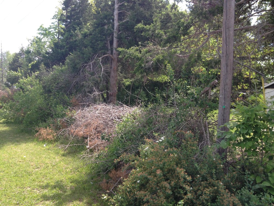One acre parcel