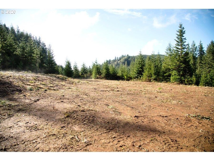 94053 Pleasant Valley Ln, Myrtle Point, OR 97458 - photo 1