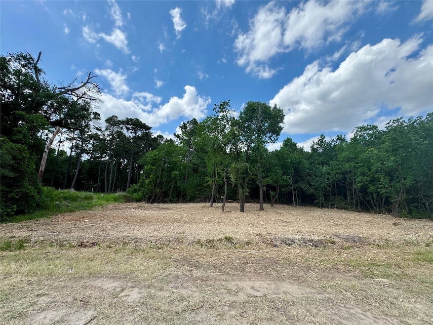 0 W Hardy 31b Rd unit 68248209, Houston, TX 77073 - photo 1