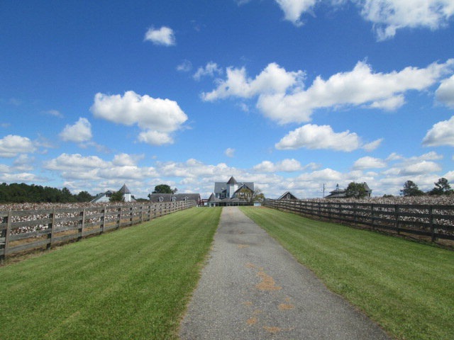 4622 Barwick Rd, Quitman, GA 31643 - photo 1