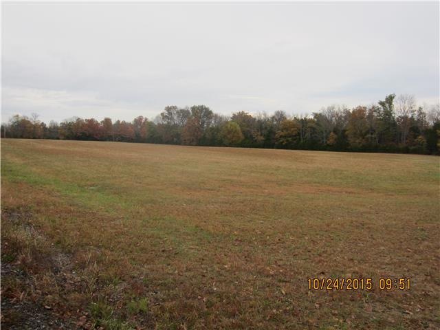 Welcome to Finley Beech & Robin Hood Road...7.33Ac Lot with 3BR Perk & Drive Way already for you!!