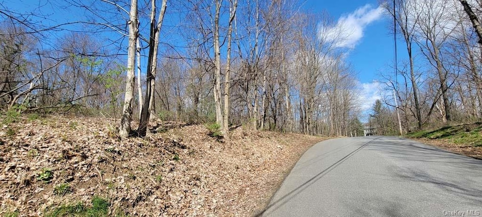 168 Williams Rd, Red Hook, NY 12571 - photo 1