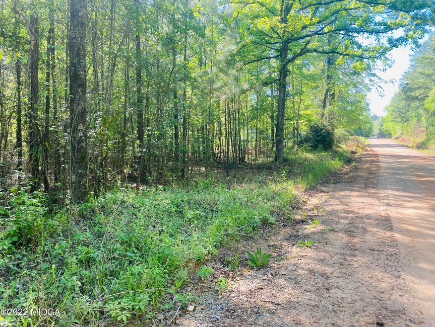 0 Maynard Rd, Gray, GA 31032 - photo 1