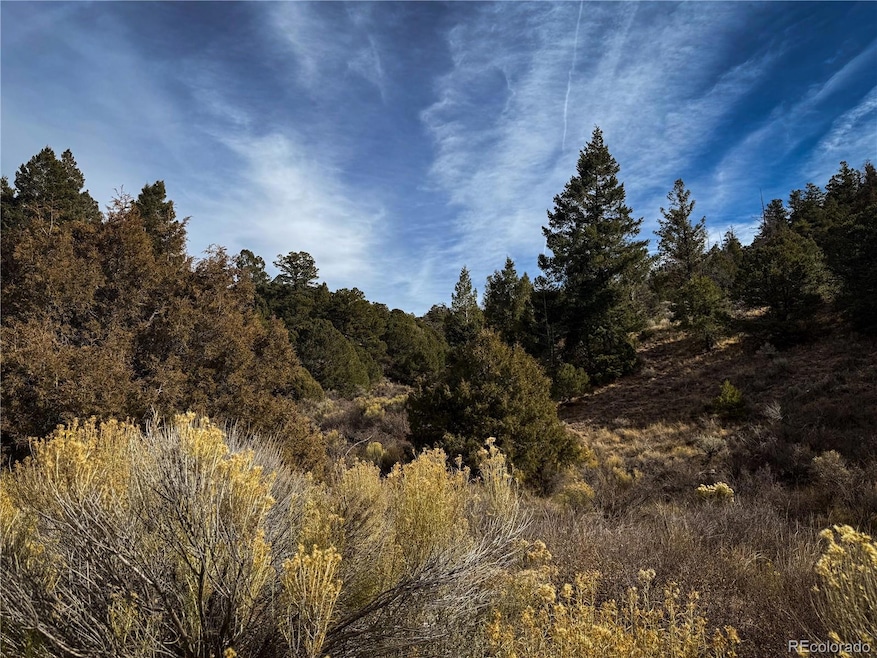 00 Jaidi Rd, Sangre de Cri, CO 81133 - photo 1