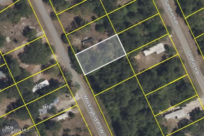 Screenshot 2025-06-10 134941