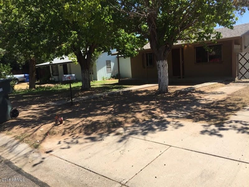 large shade trees