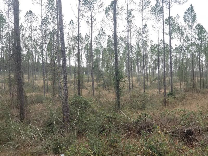 0 County Road 112 unit 10 0636243, Robertsdale, AL 36567 - photo 1