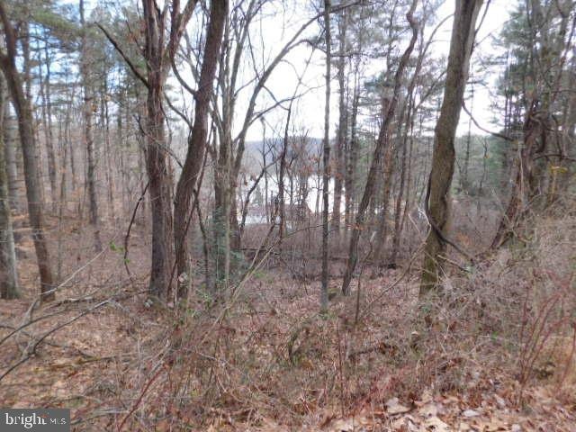 0 S Lewis Ave, Mohnton, PA 19540 - photo 1