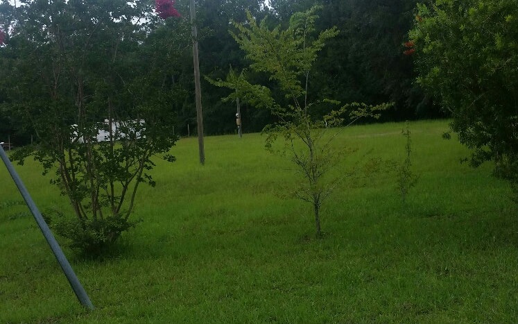 unlisted-address, Lake City, FL 32025 - photo 1