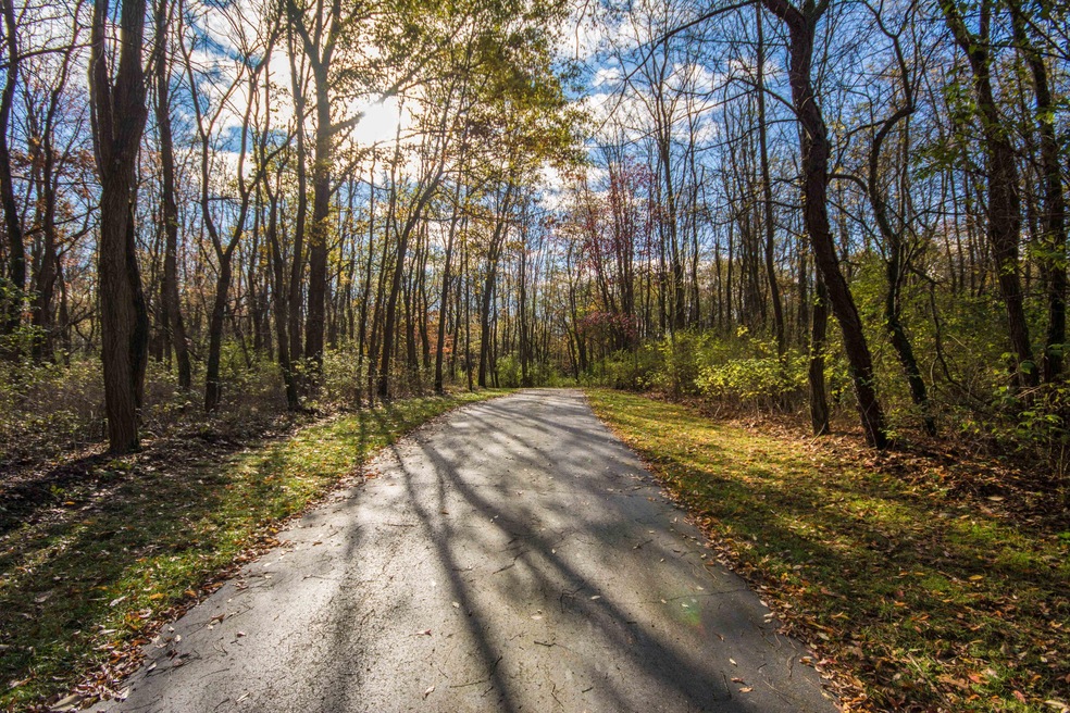 177 River Pine Dr, Lowell, MI 49331 - photo 1