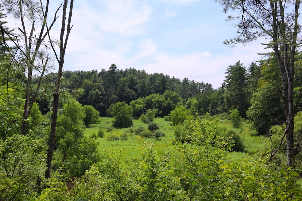 0 Anthony Rd, Fort Edward, NY 12828 - photo 1