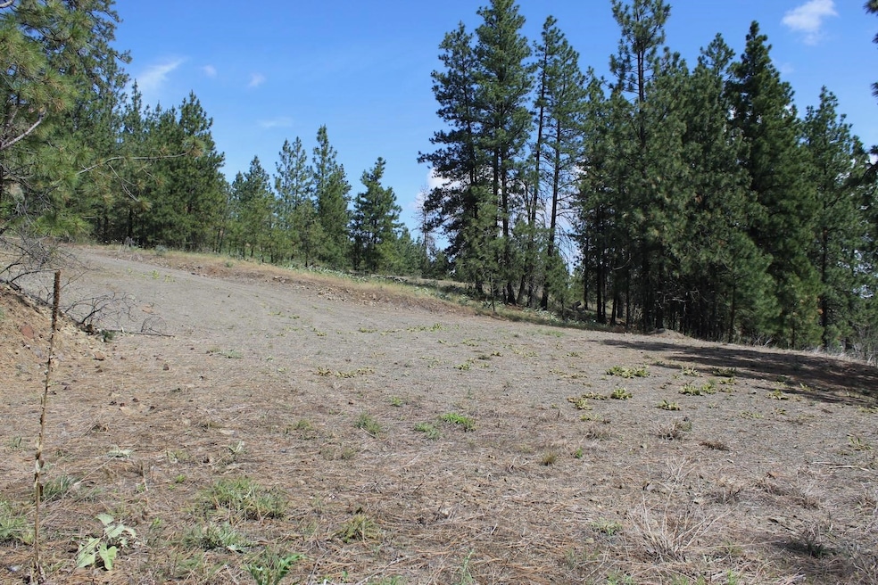 Badger Lot 1&2 Sontag Ridge Ln, Davenport, WA 99122 - photo 1