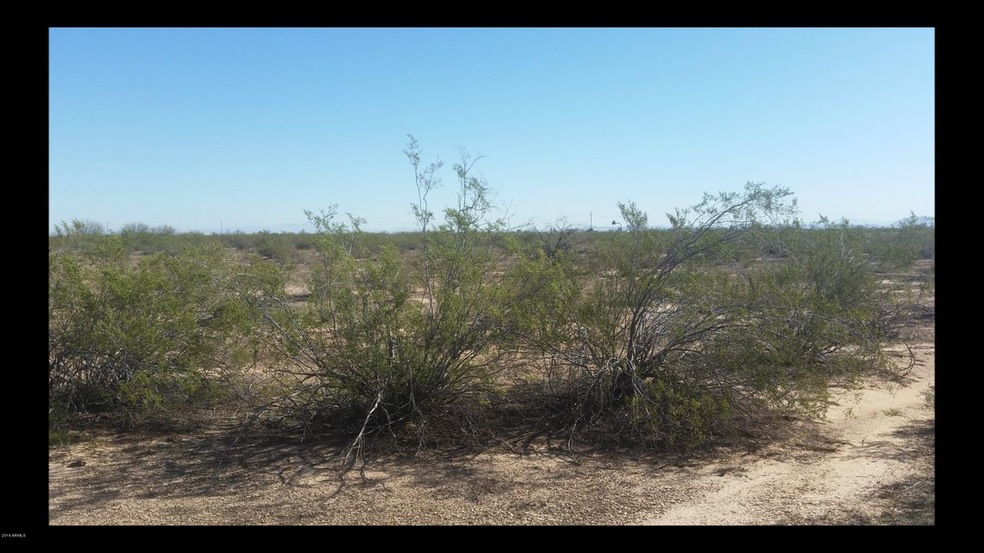 3615 N. Pima