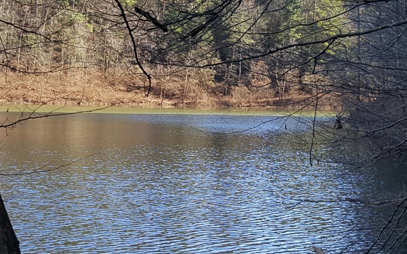 Main View