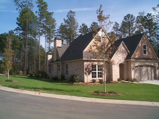 Main View