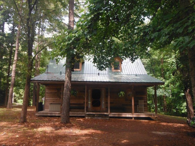 Main View
